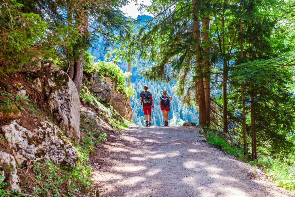 Wide shot of two people hiking and discussing mental illness.