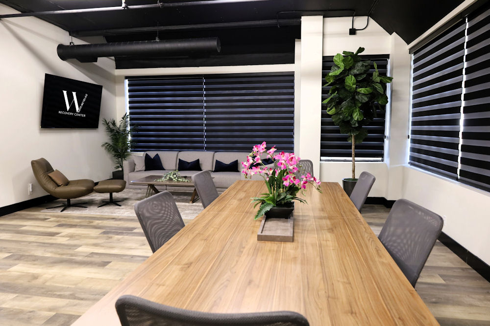 Bright meeting and lounge area with natural light and plants Bright meeting and lounge area with natural light and plants